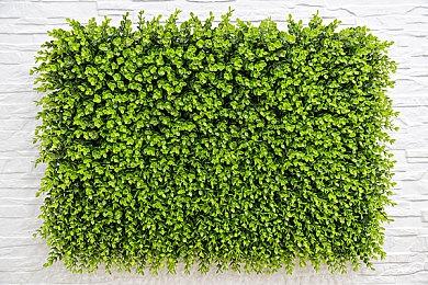 《影之刃零》全新截图 不参加今年夏日游戏节